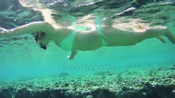 Genç kadın üzerinde Red Sea, Mısır'daki renkli resif şnorkel — Stok video