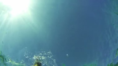Şnorkel ve çerçeve, Red Sea, Mısır'daki sualtı görünümü aracılığıyla yüzen genç adam