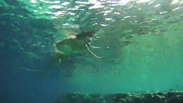 Giovane donna che fa snorkeling sulla barriera corallina variopinta nel Mar Rosso, Egitto — Video Stock