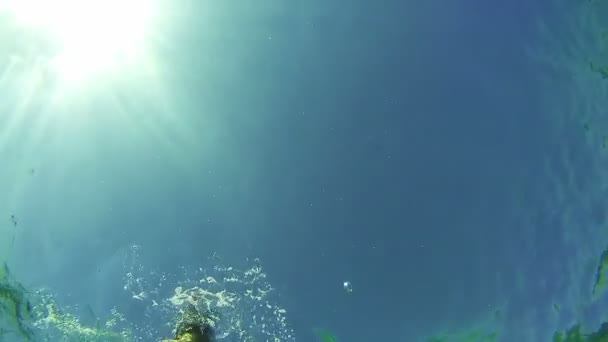 Mladý muž, šnorchlování a plovoucí skrze rám, podvodní pohled v Rudém moři v Egyptě — Stock video