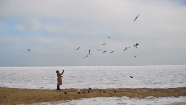 Mulher alimenta as gaivotas famintas voando sobre o mar coberto de gelo — Vídeo de Stock