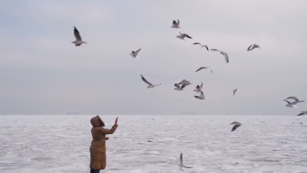 Mujer alimenta a las gaviotas hambrientas volando sobre el mar helado cubierto de hielo — Vídeos de Stock