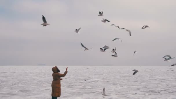 Frau füttert die hungrigen Möwen, die über das gefrorene, eisbedeckte Meer fliegen — Stockvideo