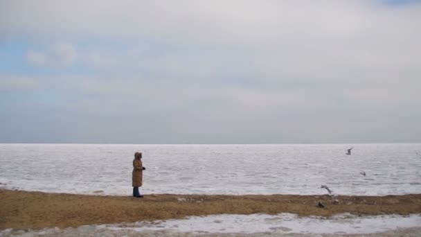 Mujer alimenta a las gaviotas hambrientas volando sobre el mar helado cubierto de hielo — Vídeo de stock