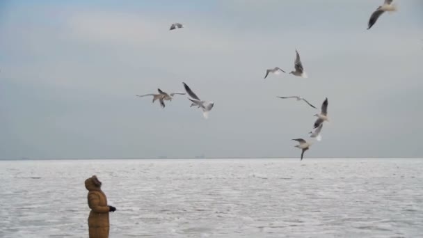 Mulher alimenta as gaivotas famintas voando sobre o mar coberto de gelo congelado. Movimento lento — Vídeo de Stock