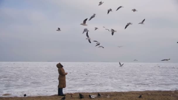 女人喂饥饿海鸥飞越冰冻冰雪覆盖的大海。慢动作 — 图库视频影像