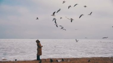 Kadın donmuş buz kaplı deniz üzerinde uçan aç martılar beslenir. Ağır çekim