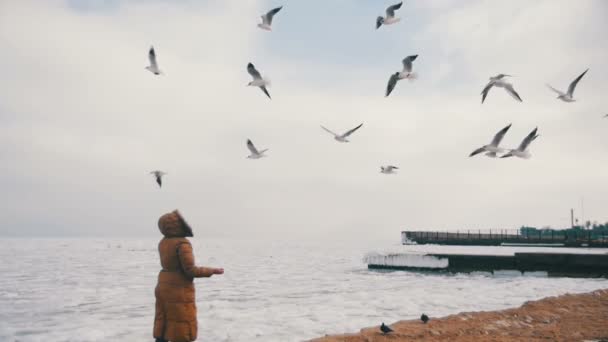Kobieta karmi głodnych mewy latające nad zamarznięte morze pokryte lodem. Zwolnionym tempie — Wideo stockowe