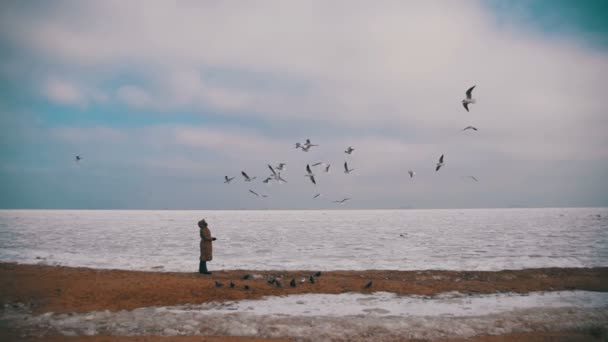 Kobieta karmi głodnych mewy latające nad zamarznięte morze pokryte lodem. Zwolnionym tempie — Wideo stockowe