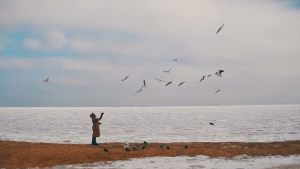 Mujer alimenta a las gaviotas hambrientas volando sobre el mar helado cubierto de hielo — Vídeo de stock