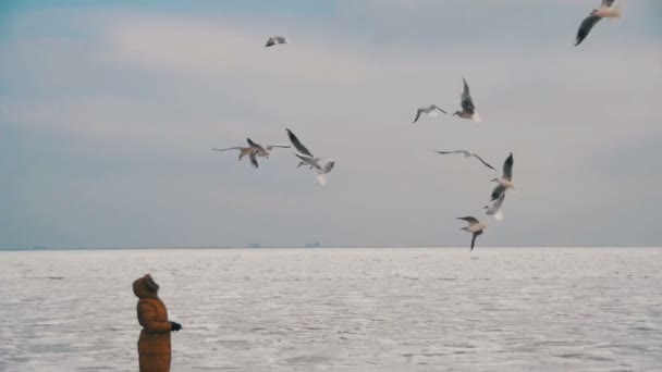 Mulher alimenta as gaivotas famintas voando sobre o mar coberto de gelo congelado. Movimento lento — Vídeo de Stock