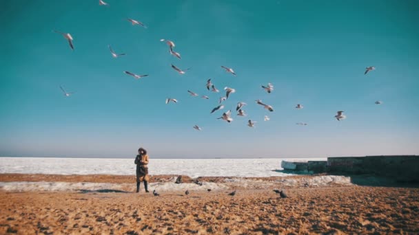 女性は、凍った氷に覆われた海の上を飛んで空腹カモメをフィードします。スローモーション — ストック動画