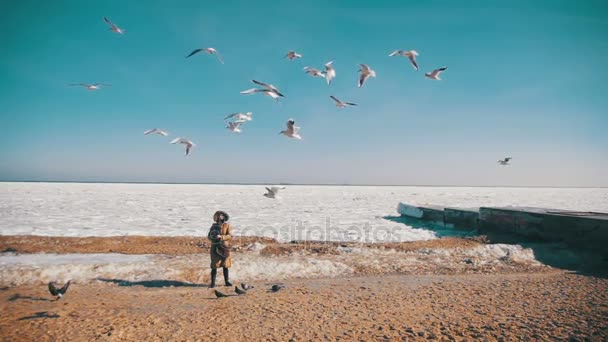 Kvinna matar hungriga måsarna flyger över frysta istäckta havet. Slow Motion — Stockvideo