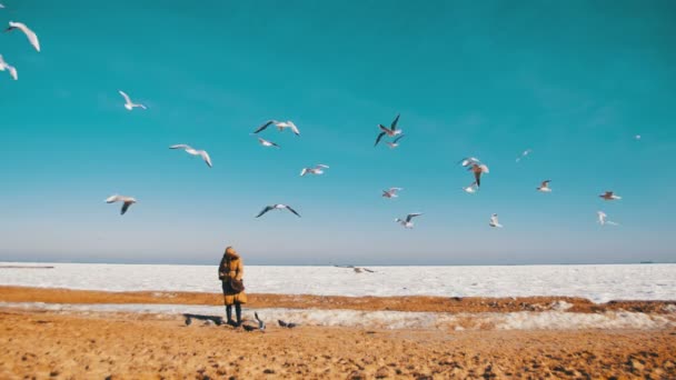 女性が凍った氷に覆われた海の上を飛んで空腹カモメをフィードします。 — ストック動画