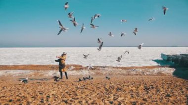 Kadın donmuş buz kaplı deniz üzerinde uçan aç martılar beslenir. Ağır çekim