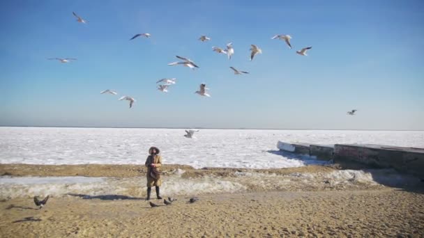 Mulher alimenta as gaivotas famintas voando sobre o mar coberto de gelo congelado. Movimento lento — Vídeo de Stock