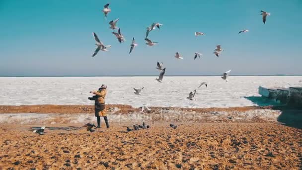 Woman Feeds the Hungry Seagulls Flying over the Frozen Ice-Covered Sea. Slow Motion — Stock Video