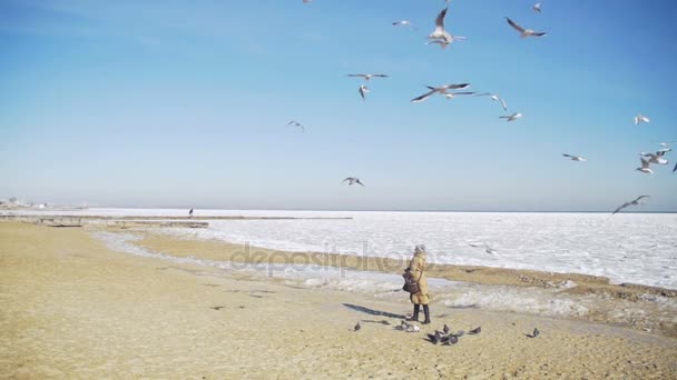 Kadın donmuş buz kaplı deniz üzerinde uçan aç martılar beslenir. Ağır çekim — Stok video