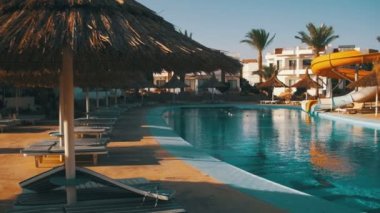 Sunny Hotel Resort mavi Havuzu, palmiye ağaçları ve Mısır'daki şezlong
