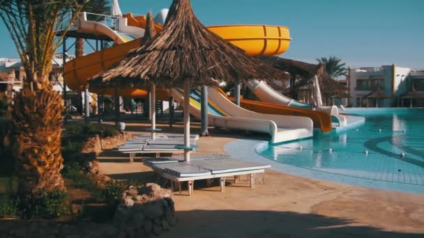 Sunny Hotel Resort s modré bazénem, palmami a lehátky v Egyptě — Stock video