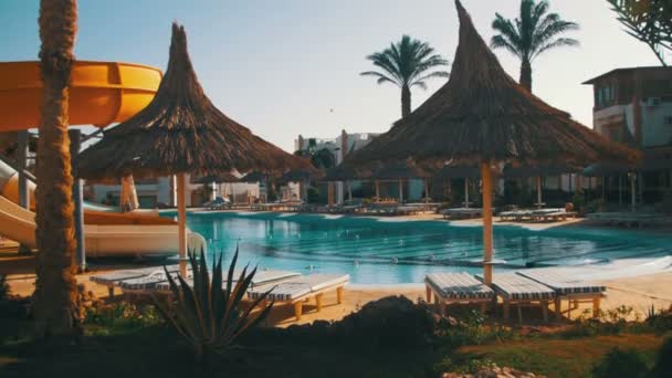 Sonniges Hotelresort mit blauem Pool, Palmen und Sonnenliegen in Ägypten — Stockvideo