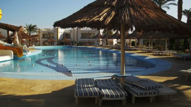 Sunny Hotel Resort med blå Pool, palmer och solstolar i Egypten — Stockvideo