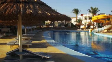 Sunny Hotel Resort mavi Havuzu, palmiye ağaçları ve Mısır'daki şezlong