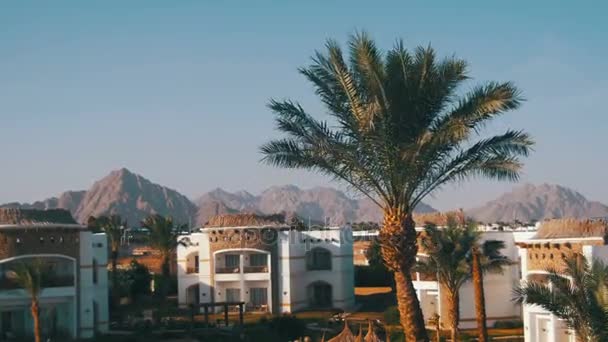 Sunny Hotel Resort con piscina azul, palmeras y tumbonas en Egipto — Vídeos de Stock