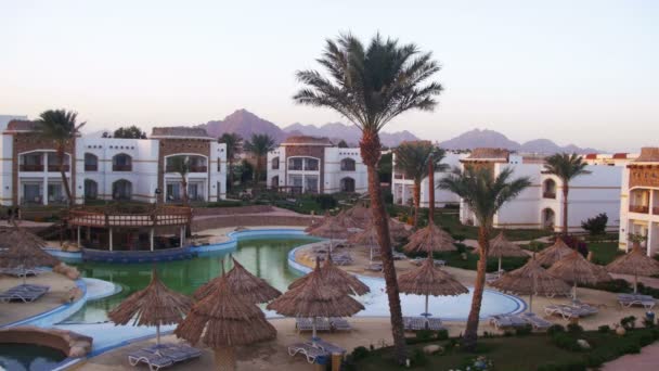 Hotel Resort met blauwe zwembad, palmbomen en ligbedden in Egypte — Stockvideo