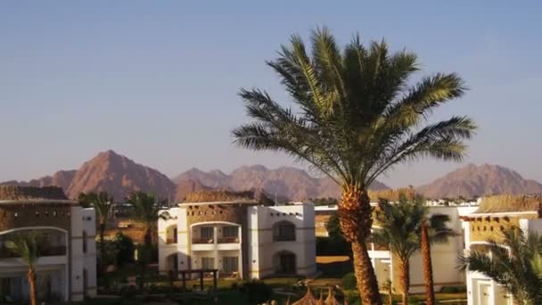 Sonniges Hotelresort mit blauem Pool, Palmen und Sonnenliegen in Ägypten — Stockvideo