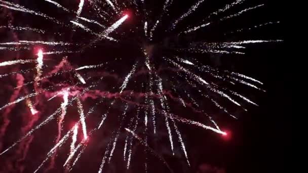 Ünnepi tűzijáték az égen. Lassú mozgás — Stock videók