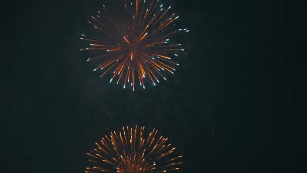 Ünnepi tűzijáték az égen. Lassú mozgás — Stock videók