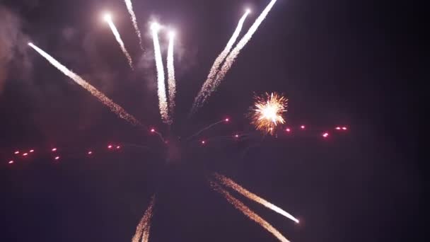 Fogos de artifício Celebração no Céu. Movimento lento — Vídeo de Stock