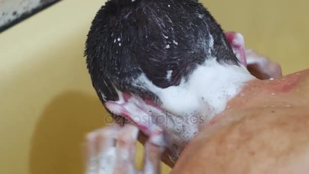 Mladý muž myje hlavu šamponem pod sprchu — Stock video