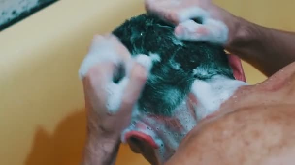 Ung Man tvättar huvudet med schampo i duschen — Stockvideo