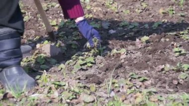 Kadın bir helikopter ile bahçedeki otları Temizleme. Ağır çekim