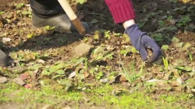 Kadın bir helikopter ile bahçedeki otları Temizleme. Ağır çekim