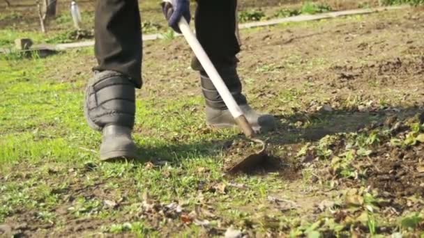 Femme nettoie les mauvaises herbes dans le jardin avec un hélico. Mouvement lent — Video