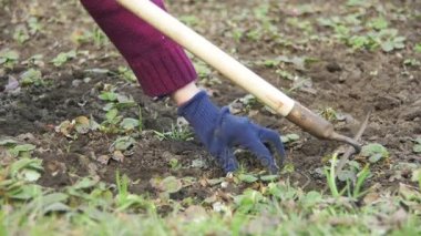 Kadın bir helikopter ile bahçedeki otları Temizleme. Ağır çekim