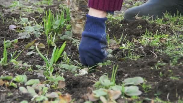 Femme nettoie les mauvaises herbes dans le jardin avec un hélico. Mouvement lent 