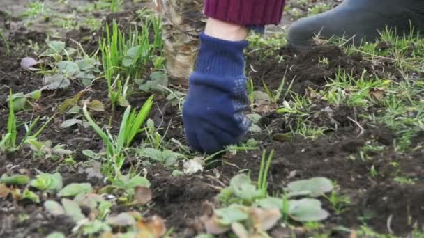 La mujer está limpiando las malas hierbas en el jardín con un helicóptero. Moción lenta — Vídeos de Stock