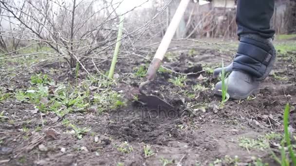 여자는 헬기와 함께 정원에서 잡 초를 청소 하 고. 슬로우 모션 — 비디오