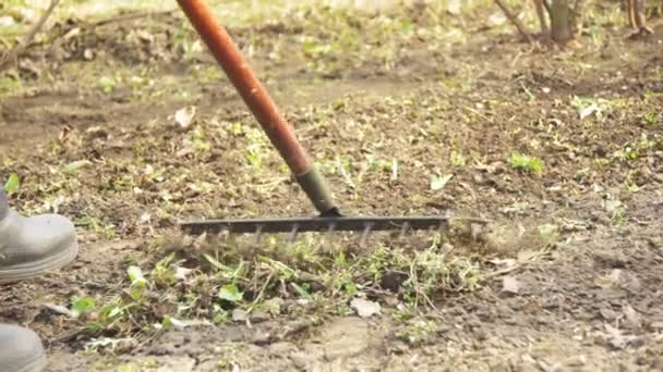 女性は、熊手を使って庭の雑草を掃除です。スローモーション — ストック動画