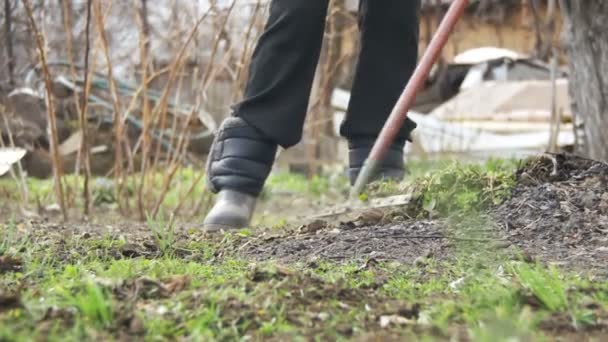 Frau säubert Unkraut im Garten mit Rechen-Werkzeug. Zeitlupe — Stockvideo