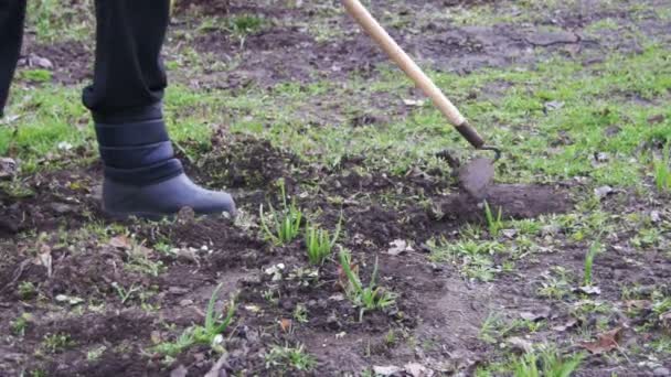 Mulher está limpando as ervas daninhas no jardim com um helicóptero — Vídeo de Stock