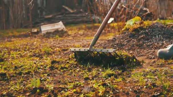 La mujer está limpiando las malas hierbas en el jardín con la herramienta de rastrillo. Moción lenta — Vídeo de stock