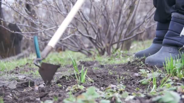 Frau säubert das Unkraut im Garten mit einem Häcksler. Zeitlupe — Stockvideo