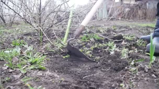 La mujer está limpiando las malas hierbas en el jardín con un helicóptero. Moción lenta — Vídeo de stock