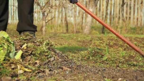 Kvinnan är rengöring ogräset i trädgården med Rake verktyg. Slow Motion — Stockvideo