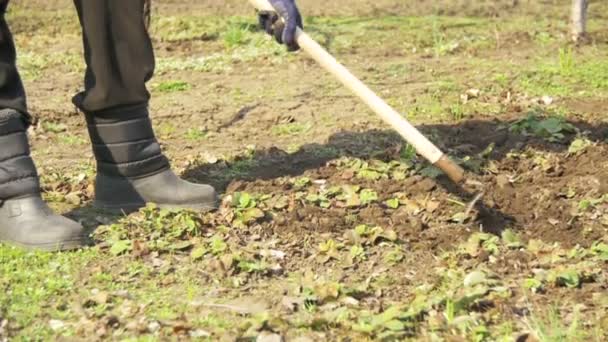 Femme nettoie les mauvaises herbes dans le jardin avec un hélico. Mouvement lent — Video